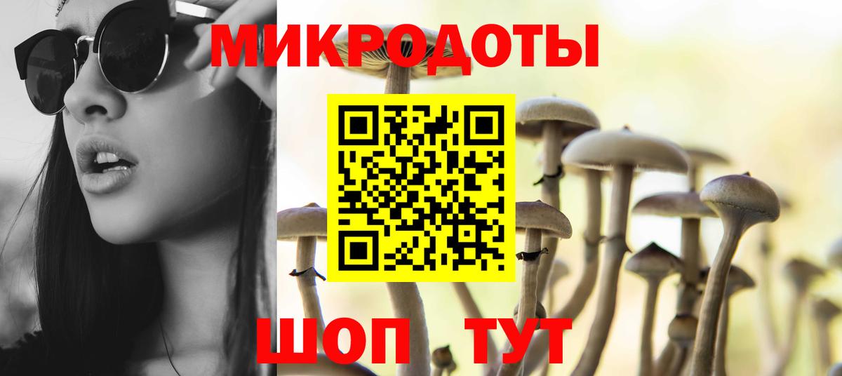 Псилоцибиновые грибы Psilocybine cubensis Назарово
